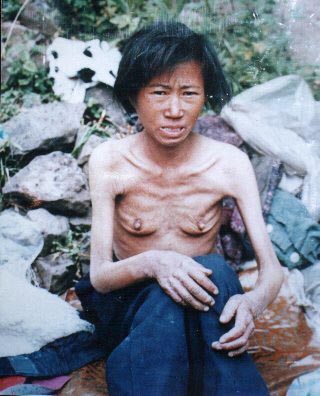The South Korean government does not have any intention of fostering the The South Korean government does not have any intention of fostering the