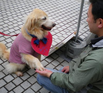 Dog Boosts Donations at Rally