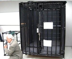 The MC's height is 165cm　(5.5ft). This illustrates the small size of the cell.